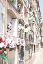 Flowers at the cemetery of Horta, Barcelona