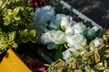 Flowers in a cemetery with tombstones in background Royalty Free Stock Photo