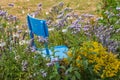 Flowers and a chair in a garden in Limoges