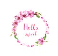 Flowers of cherry tree, spring sakura blossom, apple flowers. Floral wreath, text Hello april . Watercolor circle frame