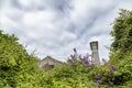 Flowers and chimney