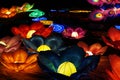 Flowers at Chinese lantern festival Royalty Free Stock Photo