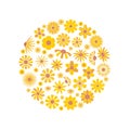 Flowers in circle. yellow beautiful flowers in round shape. Vector background