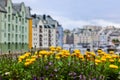 Flowers and cityscape of Alesund Norway Royalty Free Stock Photo