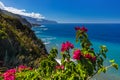 Flowers on coast in Boaventura - Madeira Portugal