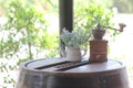 Flowers with a coffee grinder on a wooden tank. Royalty Free Stock Photo