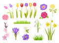 Flowers Collection Poster Vector Illustration