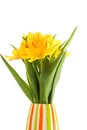 Flowers in colorful vase Royalty Free Stock Photo