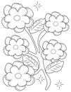 Flowers coloring page Royalty Free Stock Photo