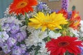 Flowers and colors, red, yellow and orange bergen daisies.