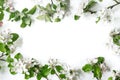 Flowers composition. Apple tree flowers on white background. Spring concept. Flat lay, top view, copy space