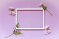 Flowers composition, blank frame for text on lilac background. Birthday Easter Mother`s day Women`s Day Valentine`s Day. Royalty Free Stock Photo