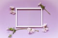 Flowers composition, blank frame for text on lilac background. Birthday Easter Mother`s day Women`s Day Valentine`s Day Royalty Free Stock Photo