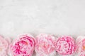 Flowers composition. Border made of pink peony flowers on white background. Flat lay. top view Royalty Free Stock Photo