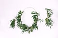 Flowers composition. Boxwood wreath. Green olive wreath on white background. Floral round frame made of branches Royalty Free Stock Photo
