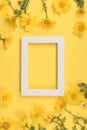 Flowers composition. Chamomile flowers with photo frame on yellow background