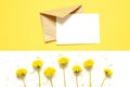 Flowers composition with envelope. Yellow flowers of dandelions on white background. Top wiev. Royalty Free Stock Photo