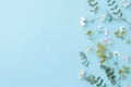 Flowers composition. Eucalyptus branches on blue background. Flat lay, top view, copy space Royalty Free Stock Photo