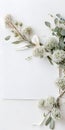 Flowers composition. Eucalyptus branches, eucalyptus leaves on white background Royalty Free Stock Photo