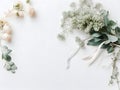 Flowers composition. Eucalyptus branches, eucalyptus leaves on white background Royalty Free Stock Photo
