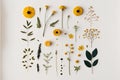 Flowers composition. Flat lay, top view. Floral background.