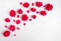 Frame made of colored carnations flowers on white background. Royalty Free Stock Photo