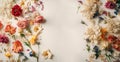 flowers composition. Frame made of dried flowers on white background. Flat lay, top view, copy space Generative AI Royalty Free Stock Photo