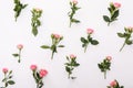 Flowers composition. Frame made of dried rose flowers on white background. Flat lay, top view.