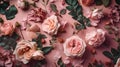 Flowers composition. Frame made of flowers. Pink roses, eucalyptus leaves on pink background. Flat lay, top view, copy space. Royalty Free Stock Photo