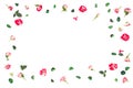Flowers composition. Frame made of fresh rose and dried flowers. Flat lay, top view Royalty Free Stock Photo