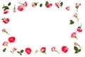 Flowers composition. Frame made of fresh roses. Top view Royalty Free Stock Photo