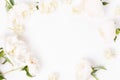 Flowers composition. Frame made of pink peony flowers on white background. Flat lay, top view, copy space Royalty Free Stock Photo