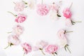 Flowers composition. Frame made of pink peony flowers on white background. Flat lay, top view, copy space Royalty Free Stock Photo