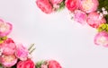 Flowers composition. Frame made of pink peony flowers on white background. Flat lay, top view Royalty Free Stock Photo