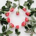 Flowers composition. Frame made of red rose on white background. Flat lay, top view, copy space. Royalty Free Stock Photo