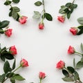 Flowers composition. Frame made of red rose on white background. Flat lay, top view, copy space. Royalty Free Stock Photo