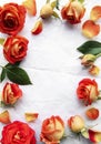 Flowers composition. Frame made of red  roses and leaves on white paper background Royalty Free Stock Photo