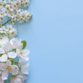 Flowers composition. Frame made of white flowers on powder blue background. Flat lay, top view, square Royalty Free Stock Photo