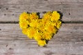 Heart symbol made of flowers dandelions. Royalty Free Stock Photo