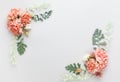 Flowers composition made of coral carnation and silver-green leaves of Senecio cineraria on pastel grey background. Nature concept
