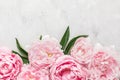 Flowers composition made of pink peony flowers on white background. Flat lay. top view Royalty Free Stock Photo