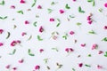 Flowers composition. Pattern made of pink flowers and leaves on white background. Spring, easter, summer concept. Flat