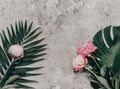 Flowers composition. Pink peony with monstera leaf.