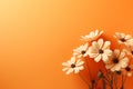 Flowers composition. Poppies on orange background. Flat lay, top view, copy space