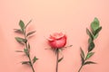 Flowers composition. Rose flowers and eucalyptus branches on pink background. Flat lay, top view, copy space