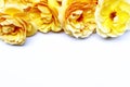 Flowers composition. Rose flower petals on white background. Valentine`s Day, Mother`s Day concept. Flat lay, top view