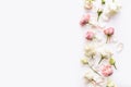 Flowers composition. Rose flowers on white background. Flat lay, top view, copy space. Border frame