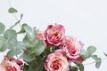 Flowers composition. Roses flowers and branch eucalyptus on white background.
