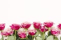 Flowers composition. Roses flowers on white background. Flat lay, top view, copy space.