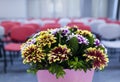 Flowers composition on table in empty conference room, office Royalty Free Stock Photo